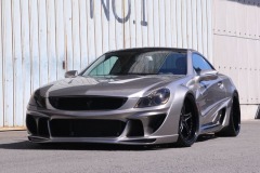 R230 Platinum (Mercedes Benz SL)